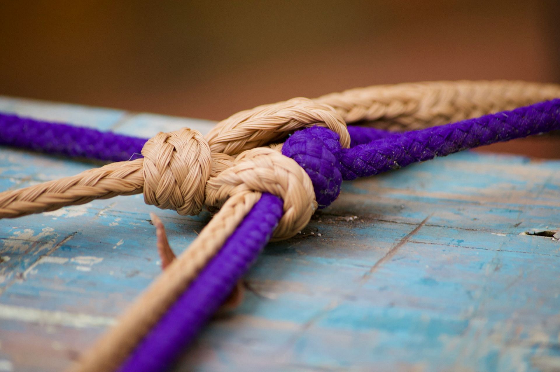Melissa's hands were tied behind her back (Image via Unsplash)